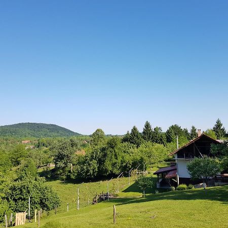 Guest House Pinus Generalski Stol Exterior foto